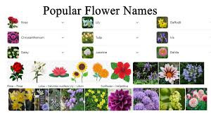 flowers name in tamil ப க கள ன