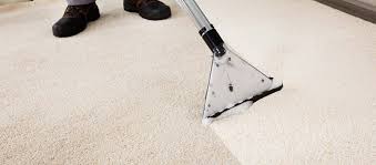 professional carpet steam cleaner