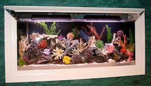 Wall Fish Tank