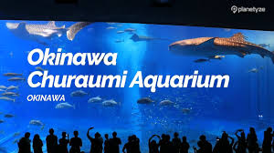 Okinawa Churaumi Aquarium, Okinawa | Japan Travel Guide - YouTube