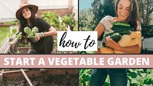 Here are some things to think about: How To Start A Vegetable Garden Gardening Tips Youtube