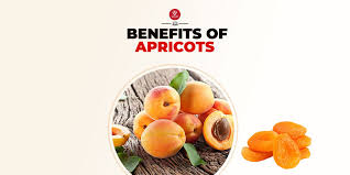 apricots khubani nutrition facts and