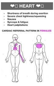 Visceral Pain Referral Snapspt