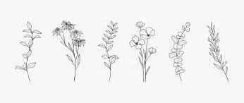flower line drawing vector art icons