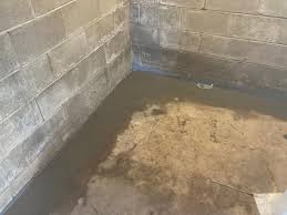 Dbs Basement Waterproofing Photo