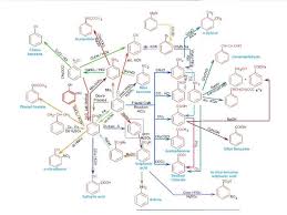 Benzene Flow Chart Organic Chemistry Organic Chemistry