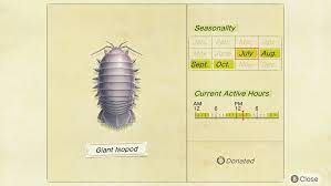 Sea creatures are a separate type of critter from fish, meaning that c.j. Animal Crossing New Horizons How To Catch A Giant Isopod Superparent