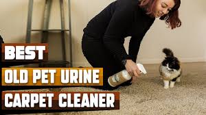 carpet cleaner for old pet urine