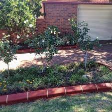 Garden Border Ideas With Red Brick