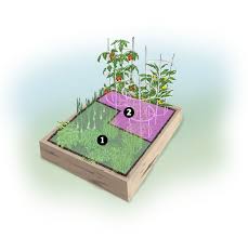 Building And Planting A Raised Garden Bed