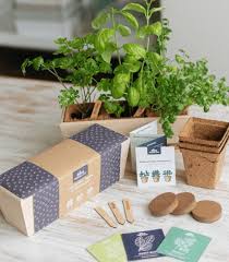 culinary garden trio kit urban leaf