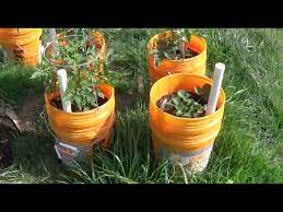 Diy Planter In 5 Gallon Buckets