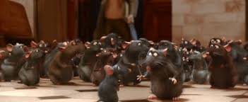 Résultat de recherche d'images pour "rats ratatouille"