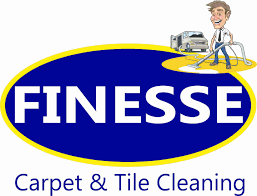 carpet cleaning in fort wayne