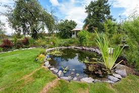 21 Backyard Pond Ideas For Inspiration
