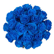 Hestya 200 gram red petal roses dried rose petals real rose flower petals table confetti petal for bath foot bath wedding table confetti diy crafts decorations, 1 bag 4.1 out of 5 stars 93 $18.99 $ 18. Amazon Com Farm Direct 100 Real Fresh Cut Blue Roses Exotic And Amazing Fresh Rose Delivery Grocery Gourmet Food