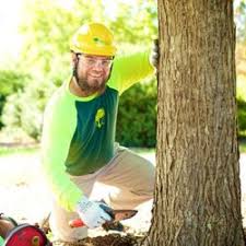 The goal of the santa barbara county public works' street tree policy is to provide a guideline for the replacement of existing street trees. Bartlett Tree Experts Santa Barbara 45 Photos Tree Services 724 Kimball Street Santa Barbara Ca Phone Number