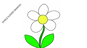 easy flower drawing with colour step by