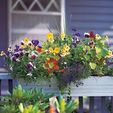 Jan 28, 2021 · 50+ porch planter ideas to make your exterior more fun many of these porch arrangements use a variety of sizes, colors, and heights to make them stand out. 5 Ways To Decorate Your Deck Or Patio With Plants