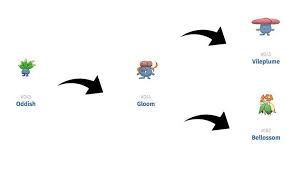 Pokemon Go Gen 2 Update Evolution Guide Detailed Slashgear