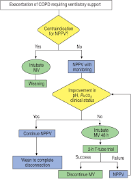 Flow Chart For The Use Of Noninvasive Positive Pressure