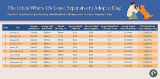 Average Annual Vet Cost For A Dog gambar png