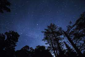 starry sky trees stars hd wallpaper