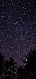 ng56 night sky star e starry wood