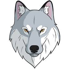how to draw a wolf face and head