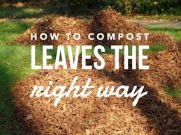 using leaves for composting compost guide