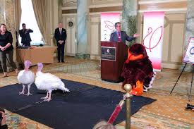 You could name your turkey harry to pay homage to this gracious turkey. President Trump Names Butter As National Thanksgiving Turkey