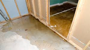 Cause Of Basement Leaks Ecospect