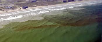 Gulf Of Mexico Florida Harmful Algal Blooms