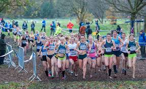 male and female cross country races