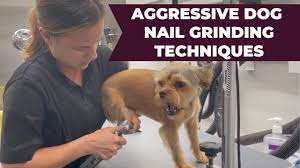 grind down an aggressive dogs nails