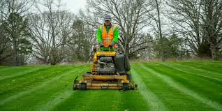 They can help you in the areas of grass cutting, landscaping in case you're thinking about getting the services of a lawn mowing company, here are a few things that you need to ask before you decide who to hire Commercial Property Maintenance Landscaping Contractor Maedgen S