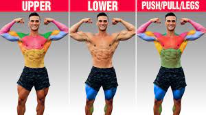 day workout split for muscle growth