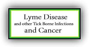 Outline of Talk     History of Lyme Disease    