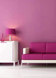Interior Wall Paints And Colours To