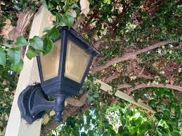Classic Lamp Post In A Plant Bush