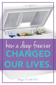 How Our Deep Freezer Changed Our Lives