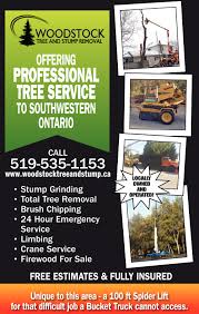 Professional Tree Service Woodstock Tree And Stumo Removal