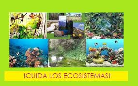 https://cplosangeles.educarex.es/web/edilim/tercer_ciclo/cmedio/los_ecosistemas/las_relaciones_del_ecosistema/las_relaciones_del_ecosistema.html