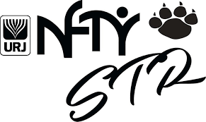 Image result for nfty str logo