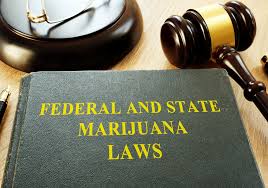 Defenses for beating a possession charge in virginia. Marijuana Possession In Texas Waco Criminal Defense Law Office Of Walter M Reaves Jr P C