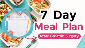 bariatric meal planning guide 7 day