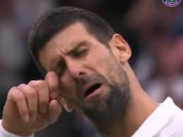 Novak Djokovic divides Tennis fans after wiping away fake tears while  cruising through to Wimbledon final | Sky News Australia