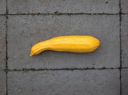 10 Summer Squash Varieties Some You Know Some You Dont