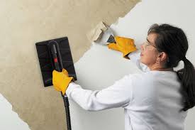 remove wallpaper with new strip the