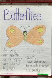 Teaching About Butterflies In The Classroom Kindergarten